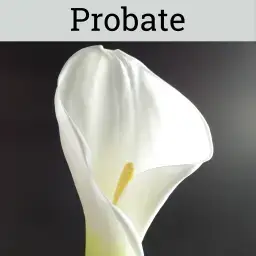 Probate1